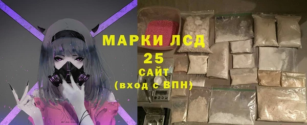 ПСИЛОЦИБИНОВЫЕ ГРИБЫ Верея