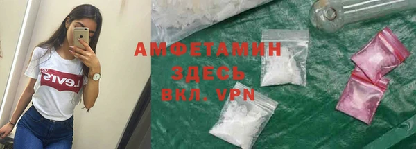 ПСИЛОЦИБИНОВЫЕ ГРИБЫ Верея