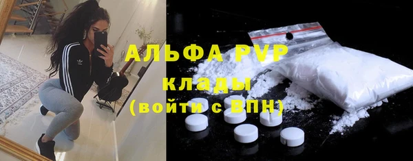 ПСИЛОЦИБИНОВЫЕ ГРИБЫ Верея