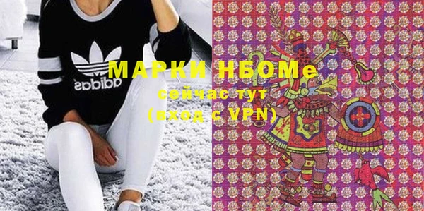 ПСИЛОЦИБИНОВЫЕ ГРИБЫ Верея