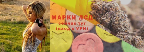 ПСИЛОЦИБИНОВЫЕ ГРИБЫ Верея