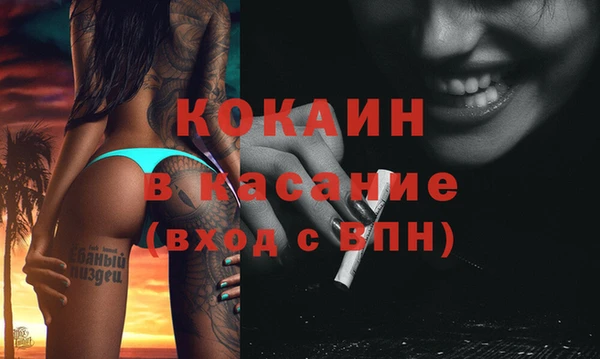 ПСИЛОЦИБИНОВЫЕ ГРИБЫ Верея